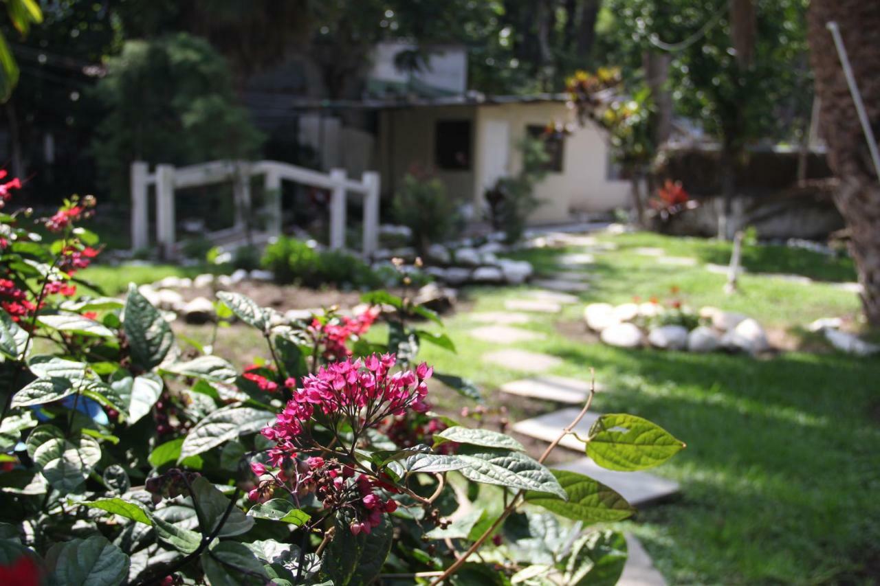 Hostal Dulces Suenos Panajachel Extérieur photo